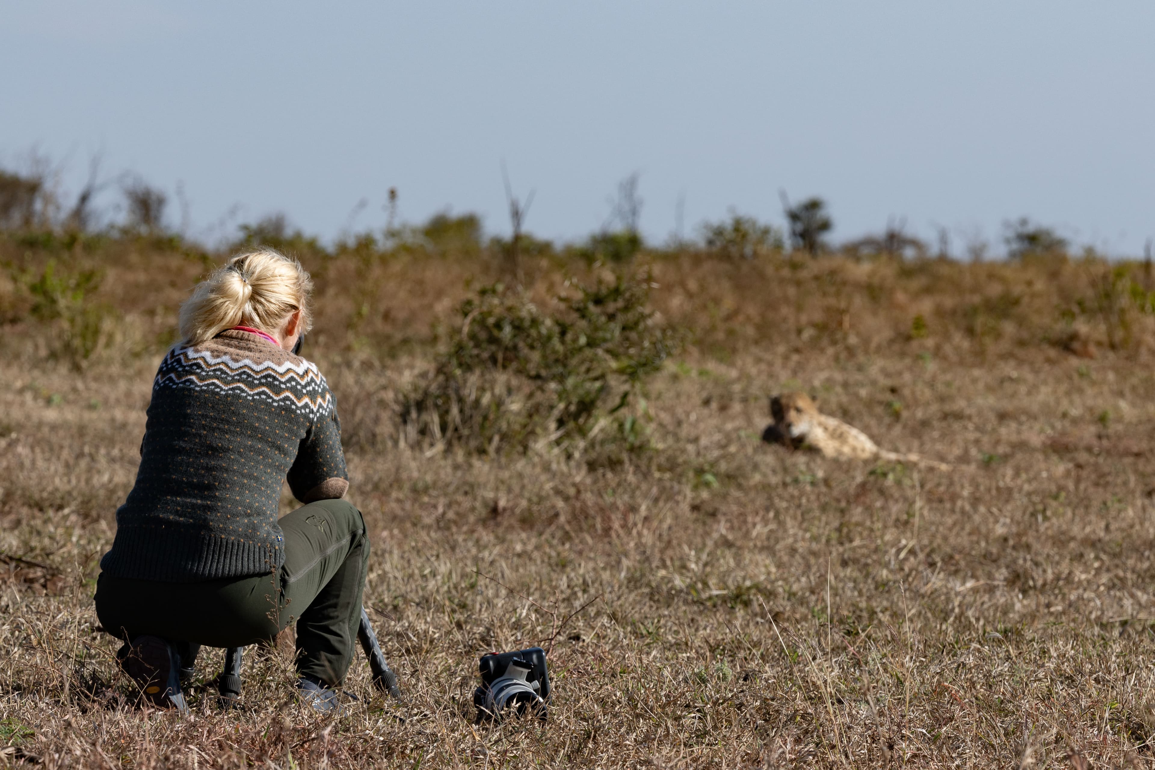 Fotograf med kamerautrustning fotograferar en gepard i fält